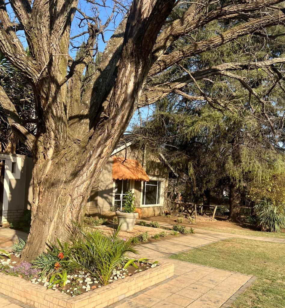 Silken Trap Accommodation No Loadshedding Johannesburg Bagian luar foto